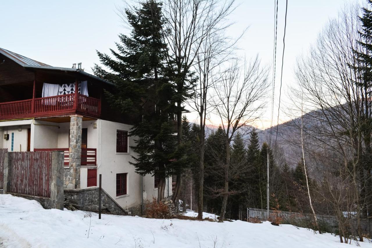 Grandpa'S Hidden Crib, 6 Bedroom, Pet Friendly Σινάια Εξωτερικό φωτογραφία