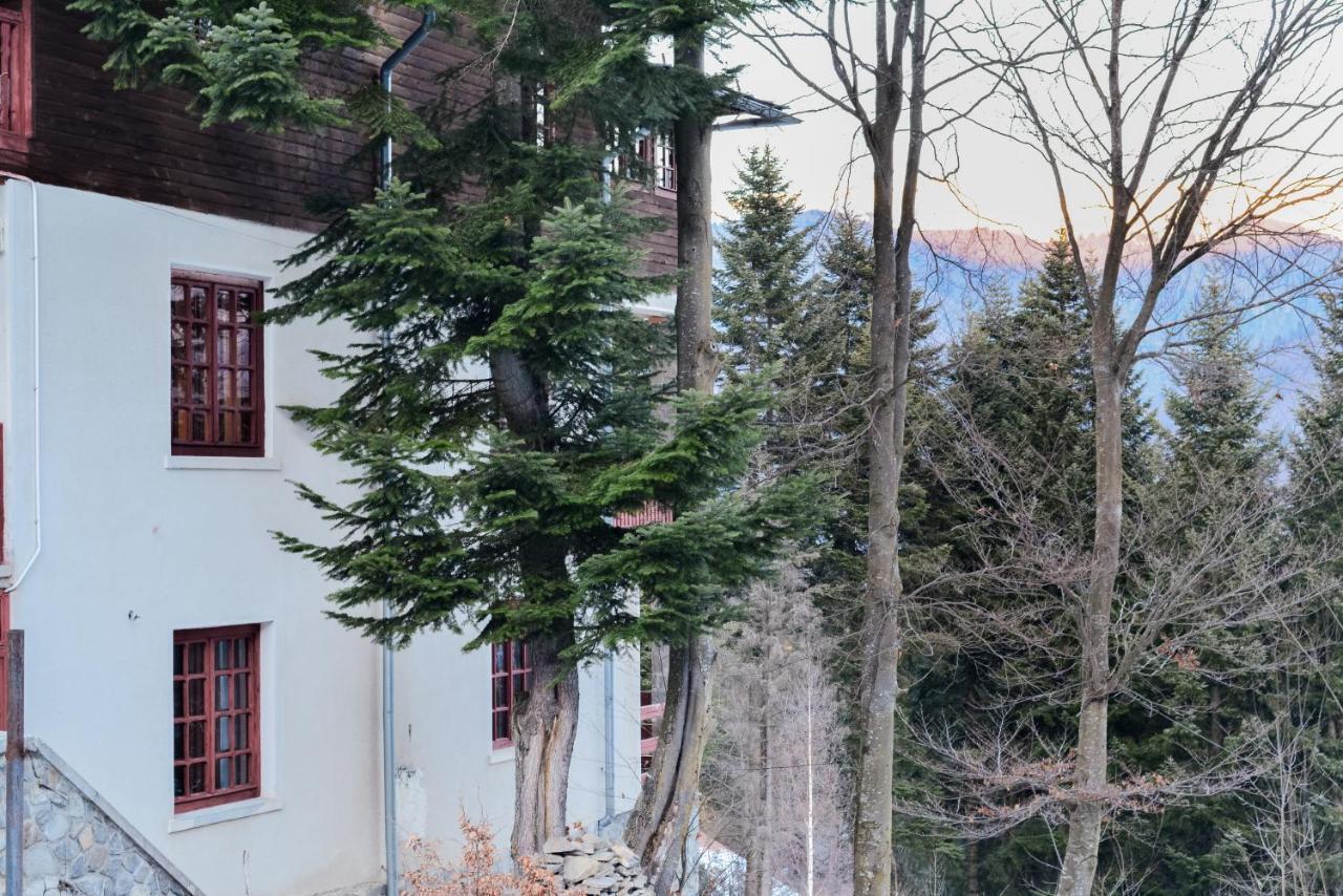 Grandpa'S Hidden Crib, 6 Bedroom, Pet Friendly Σινάια Εξωτερικό φωτογραφία