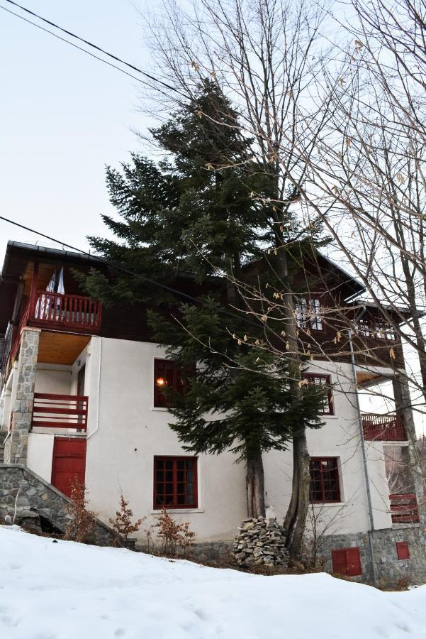 Grandpa'S Hidden Crib, 6 Bedroom, Pet Friendly Σινάια Εξωτερικό φωτογραφία